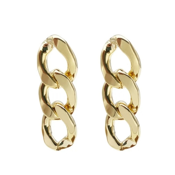 Stainless Steel Jewelry - Twisted Ring Chain Earrings